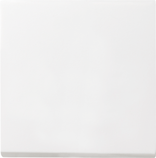 Gira enkel wipper  Zuiver wit glanzend (ZWG) 029603